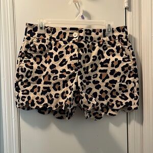 Crown & Ivy High Waist Brown and Black Shorts